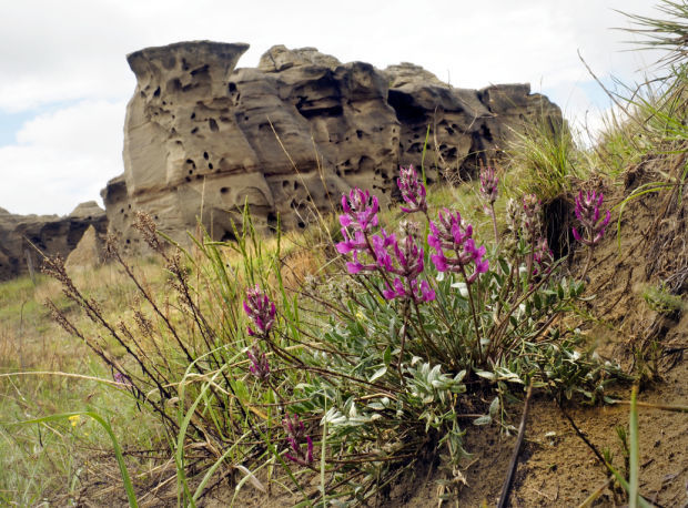 5 places to explore